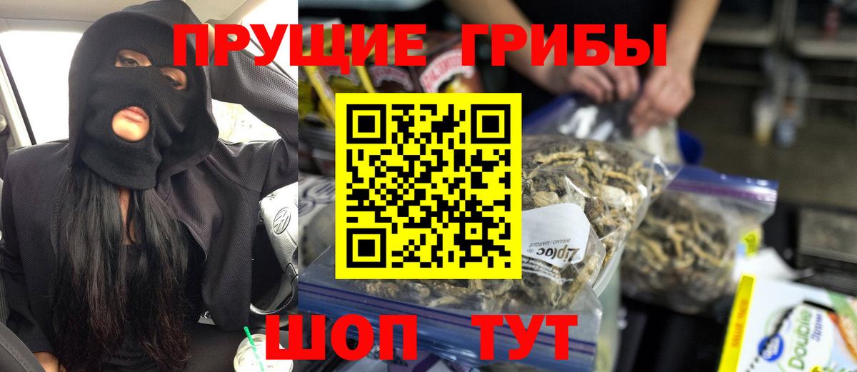 Галлюциногенные грибы прущие грибы  Галлюциногенные грибы Cubensis  Железногорск  Вход с VPN 