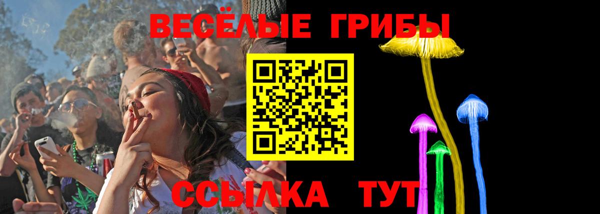 Галлюциногенные грибы прущие грибы Железногорск